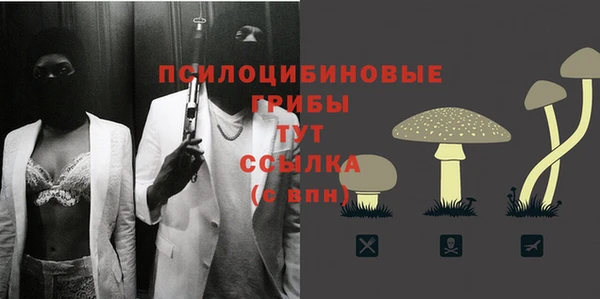 гидра Липки