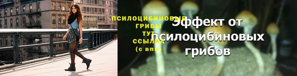 гидра Липки