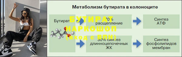 гидра Липки