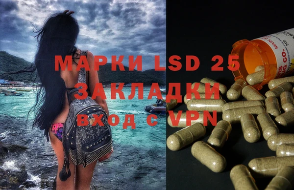 гидра Липки