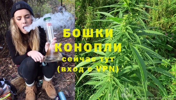 эйфоретик Магас