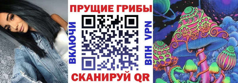 Галлюциногенные грибы ЛСД  KRAKEN ссылки  Новочеркасск  закладка 