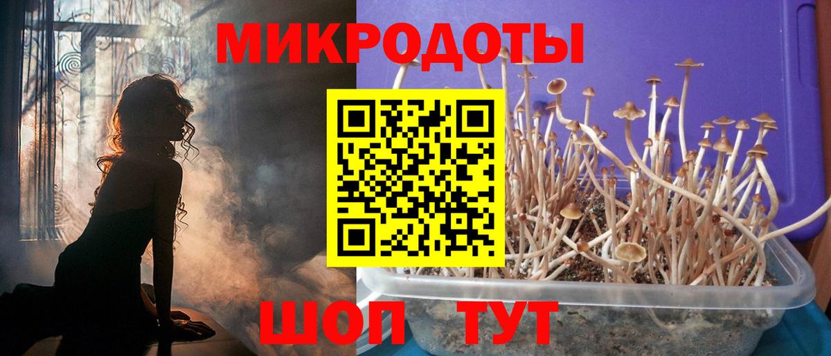 Новочеркасск  Псилоцибиновые грибы Psilocybe  Псилоцибиновые грибы Psilocybe  Вход с VPN 