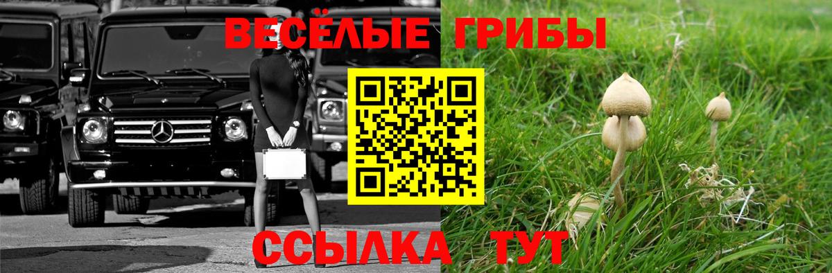 Псилоцибиновые грибы прущие грибы Новочеркасск